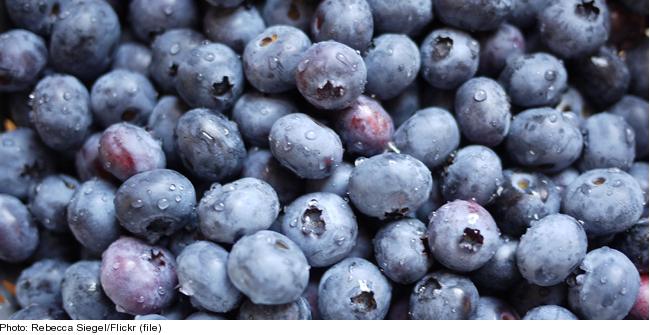 blueberries-baking-sweden
