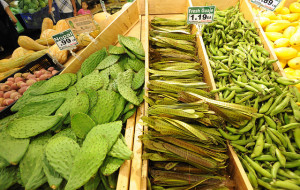 Ethnic Food Shop
