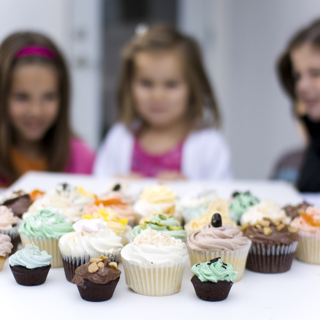 IMG 93971 1024x1024 Camelia’s Cupcake Blog: Starting a Business in Stockholm # 2