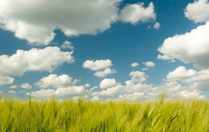 Clouds