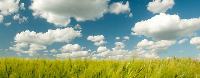 Clouds Clouds1 What it takes to volunteer in Sweden: # 7