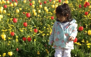 April Traditions