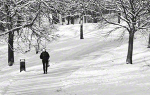 A woman walking alone on a snowy landscape/footpath.