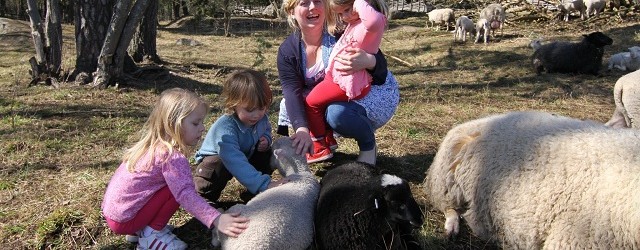 Where can your children have fun outdoors and learn lots about animals at the same time for free? Check out the YLC guide to 4H...