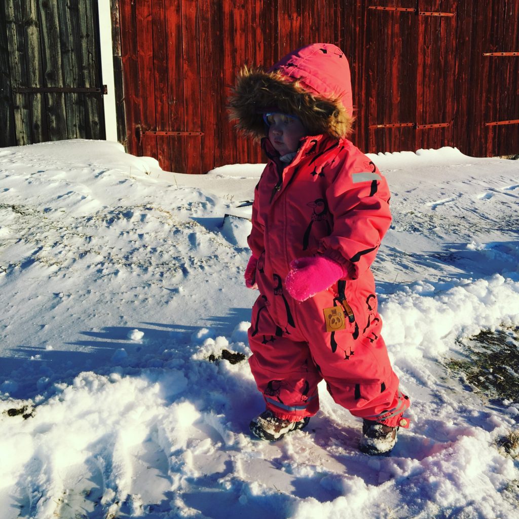 Stockholm Waterproof Winter Snow Bibs